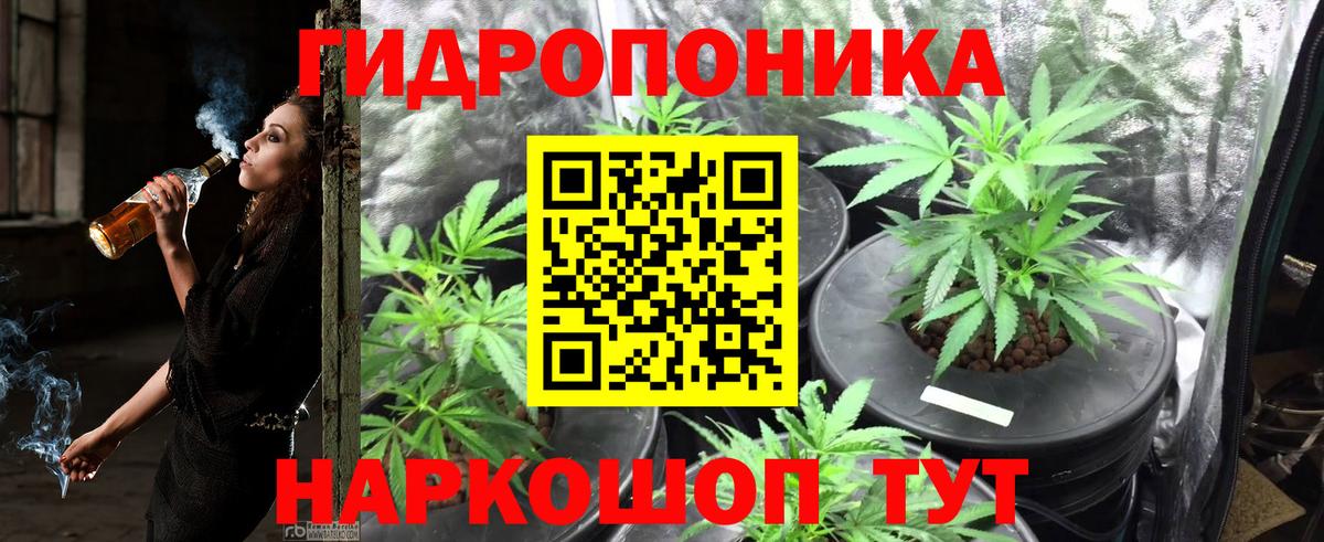 Канабис сатива  Вход с VPN  Бошки марихуана White Widow  Шишки марихуана Bruce Banner  Всеволожск  Бошки Шишки AK-47 